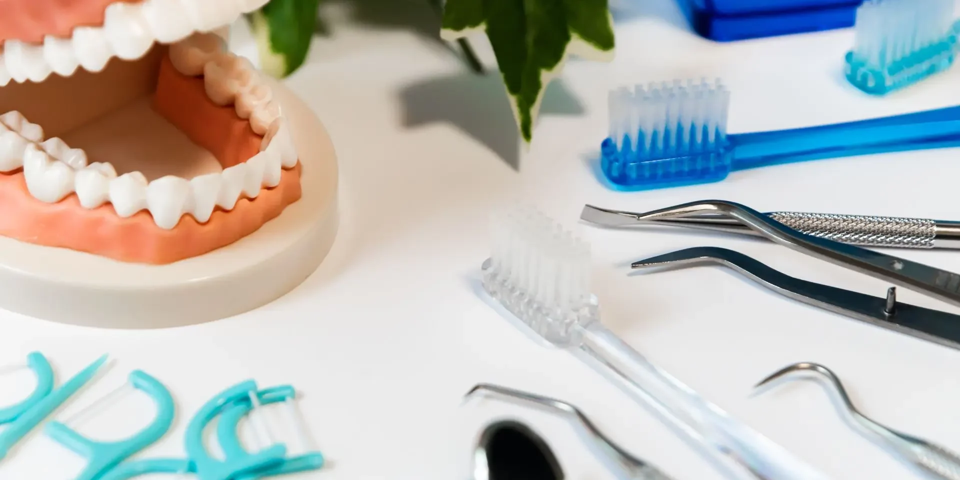 ADRIANA-Periodoncia-y-terapia-laser Periodoncia y terapia láser